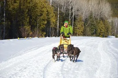 Descente Malbaie enr.