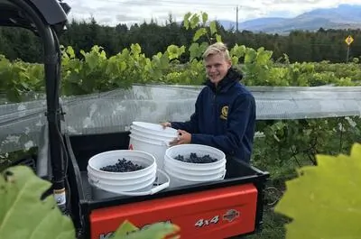 Domaine Girouard