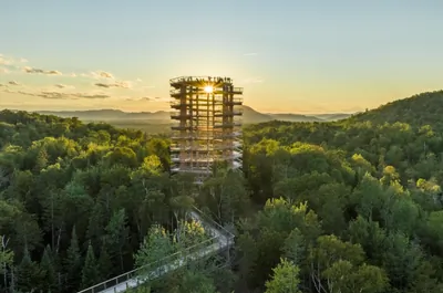 Treetop Walk Laurentides