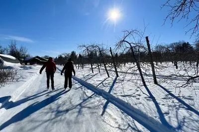 Skating trail at Verger Labonté