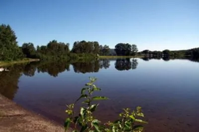 LE ROYAUME DU CAMPEUR