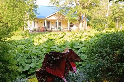 Sculptures au Jardin, 10e édition