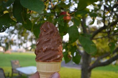 Aux Fruits du Soleil inc.