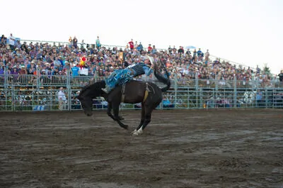 Festival Western St-André-Avellin Rodéo Professionnel