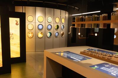 Interra – Expérience immersive