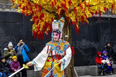 Festivités du Nouvel An Lunaire