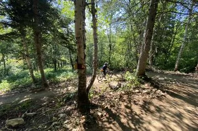 Sentiers du Mont-Comi / Vélo de montagne
