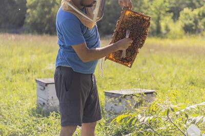 Ferme Les Petites Écores