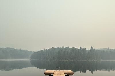 CHALETS ENTRE LES BRANCHES