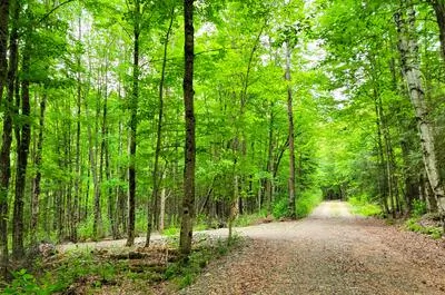 Cidrerie Pomme Sauvage