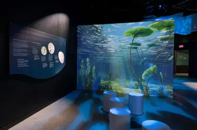 Renversant! Un voyage au fil de l’eau