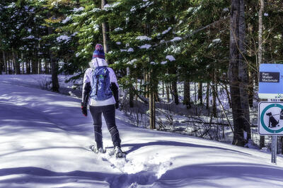 Parc régional du Marécage-des-Scots / Randonnée hivernale, raquette et ski de fond