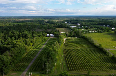 Vignoble Hemmingford