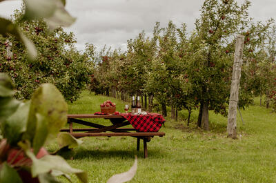 Domaine Labranche – Autocueillette