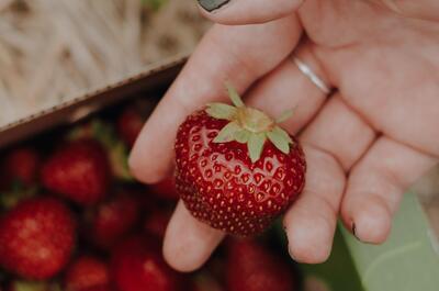 Ferme La Ricardière