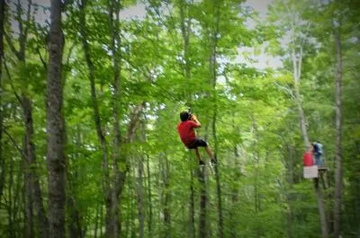 La Forêt de Maître Corbeau – Sentiers aériens