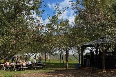La Petite Ferme Locale – Déjeuner à la ferme