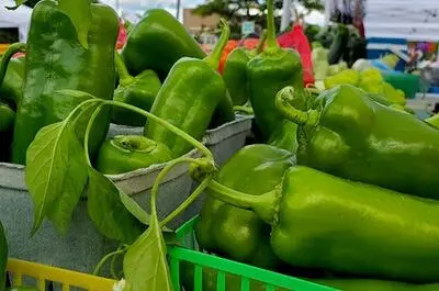 Marché public Notre-Dame