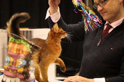 Salon National Des Animaux de Compagnie – Montréal