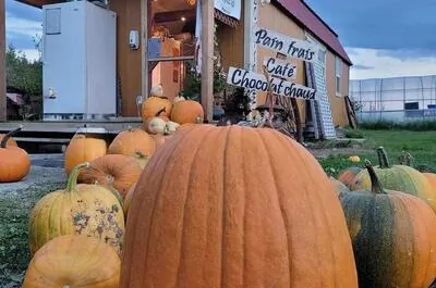 Ferme chez Lyne et Sylvain