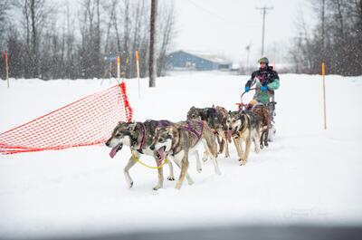 La Meute de la Petite Germaine