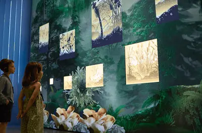 L’homme qui plantait des arbres : un récit immersif