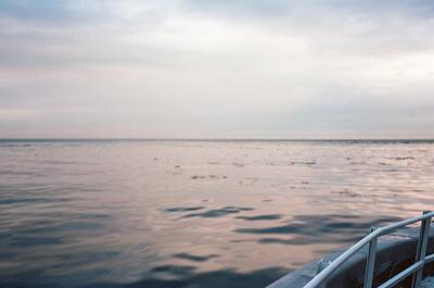 Du Fleuve – Croisières aux oiseaux