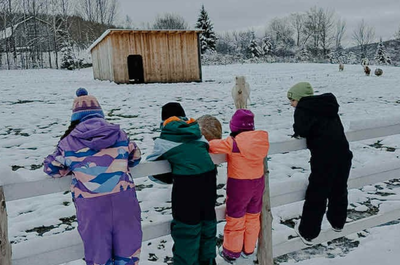 Refuge animalier du Domaine Wolfestown