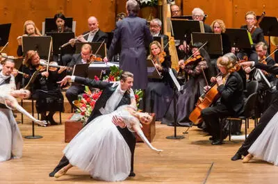 Hommage à Vienne, le concert du Nouvel An
