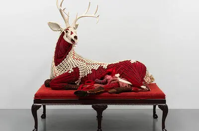 Sutures souveraines + fibres libres