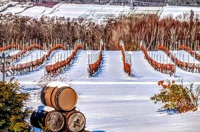 La grange de l’Île