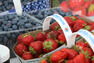FRAISES, BLEUETS, et plus: framboises, cassis, cerises, grosseille, gadelle, mûres&nbsp;&nbsp;&nbsp;&copy; Au Paradis des Fruits, Ferme ECOLOGIQUE