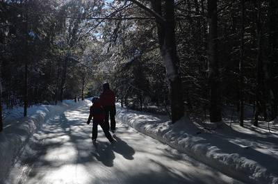 Patinoire en forêt Au coeur du Lac des loups