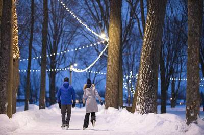 Centre de plein air Ronald-Beauregard / Patinage sur glace