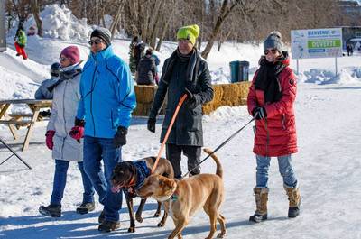 Patinoire sur la rivière L'Assomption