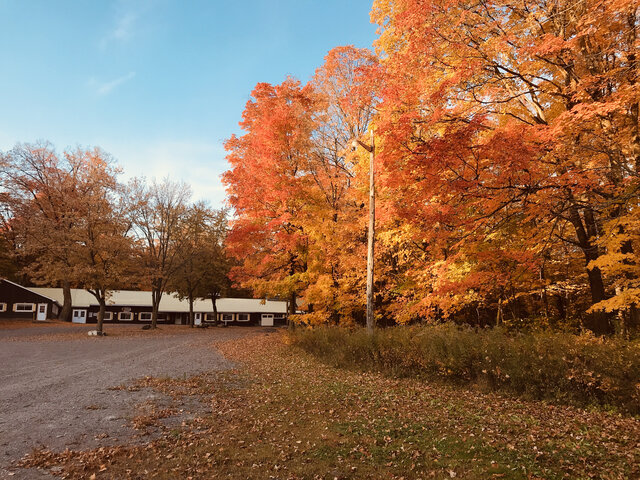 Cabane en automne&nbsp;&nbsp;&nbsp;&copy; Cabane à Sucre Constantin Grégoire