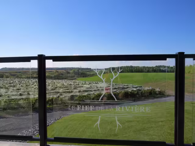 Le vignoble sous les filets&nbsp;&nbsp;&nbsp;&copy; Vignoble Le Fief de la Rivière