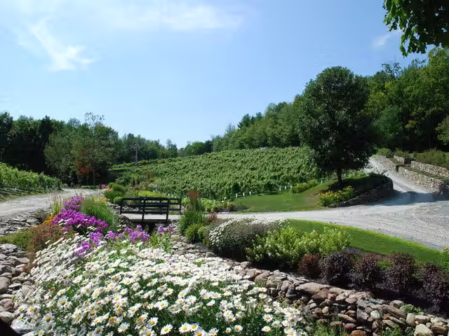 Champs&nbsp;&nbsp;&nbsp;&copy; Le Vignoble du Ruisseau