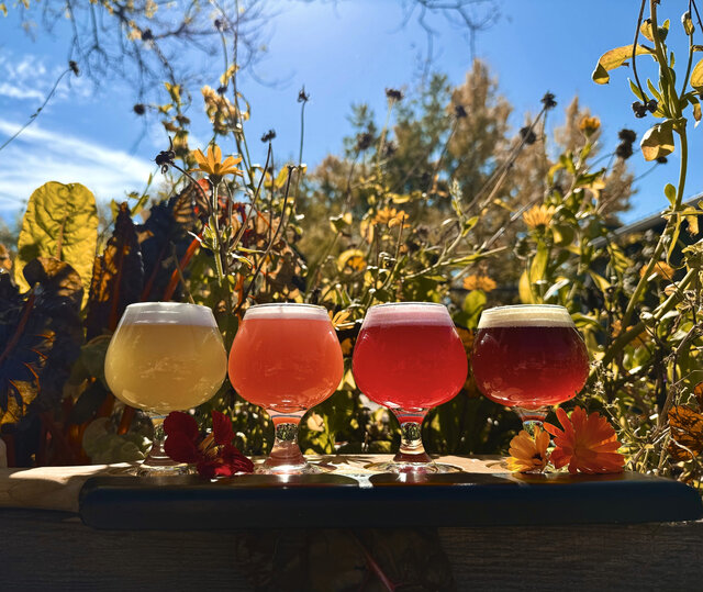 palette-couleur&nbsp;&nbsp;&nbsp;&copy; Trécarré Microbrasserie