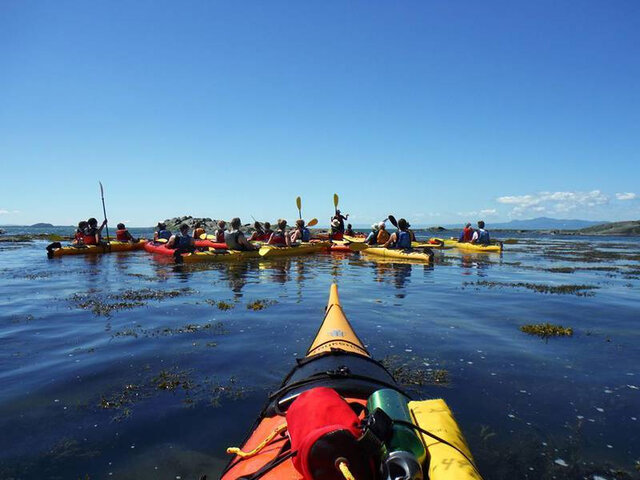 Kayak de mer dans le fleuve