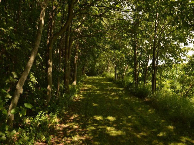 Sentier