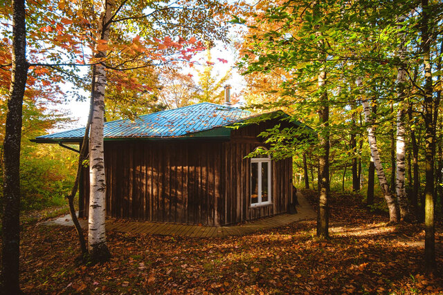Chalet dans la nature&nbsp;&nbsp;&nbsp;&copy; Photo de Patrick Dezothez