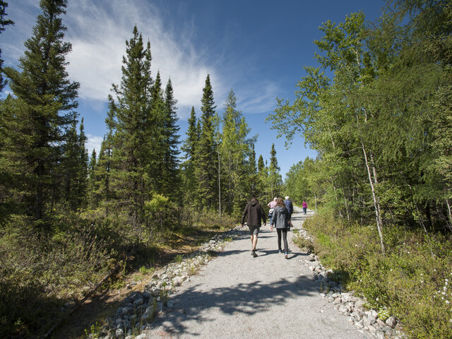 Sentier vers le belvédère&nbsp;&nbsp;&nbsp;&copy; Hydro-Québec