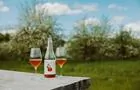 Dégustation de cidre dans le verger&nbsp;&nbsp;&nbsp;&copy; La Capsule Temporelle