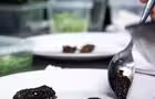 Le Bouchon par Bleu & Persillé - Dressage de morilles&nbsp;&nbsp;&nbsp;&copy; Martin