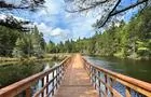 Passerelles aquatiques&nbsp;&nbsp;&nbsp;&copy; Parc Éco-Laurentides