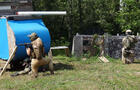 Jeu de combat&nbsp;&nbsp;&nbsp;&copy; Aventure Paintball Lac St-Jean