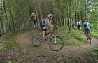 Parc de la Gorge de Coaticook © Parc de la Gorge de Coaticook