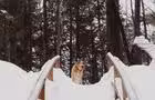 Parcs en hiver - tourismemrcjoliette_hiver_parc_du_bois_brule © Joliette