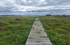 Tour de l'Île aux Cerfeuils et au Bois Blanc - 7&nbsp;&nbsp;&nbsp;&copy; La route bleue